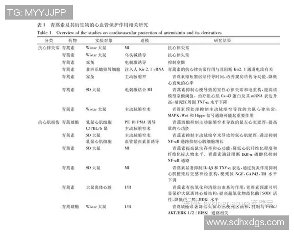 亚洲俱乐部篮球的崛起与发展探讨及其对国际赛事的影响分析